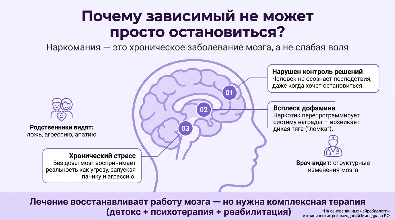 Инфографика анатомии наркотической зависимости. Изображение человеческого мозга